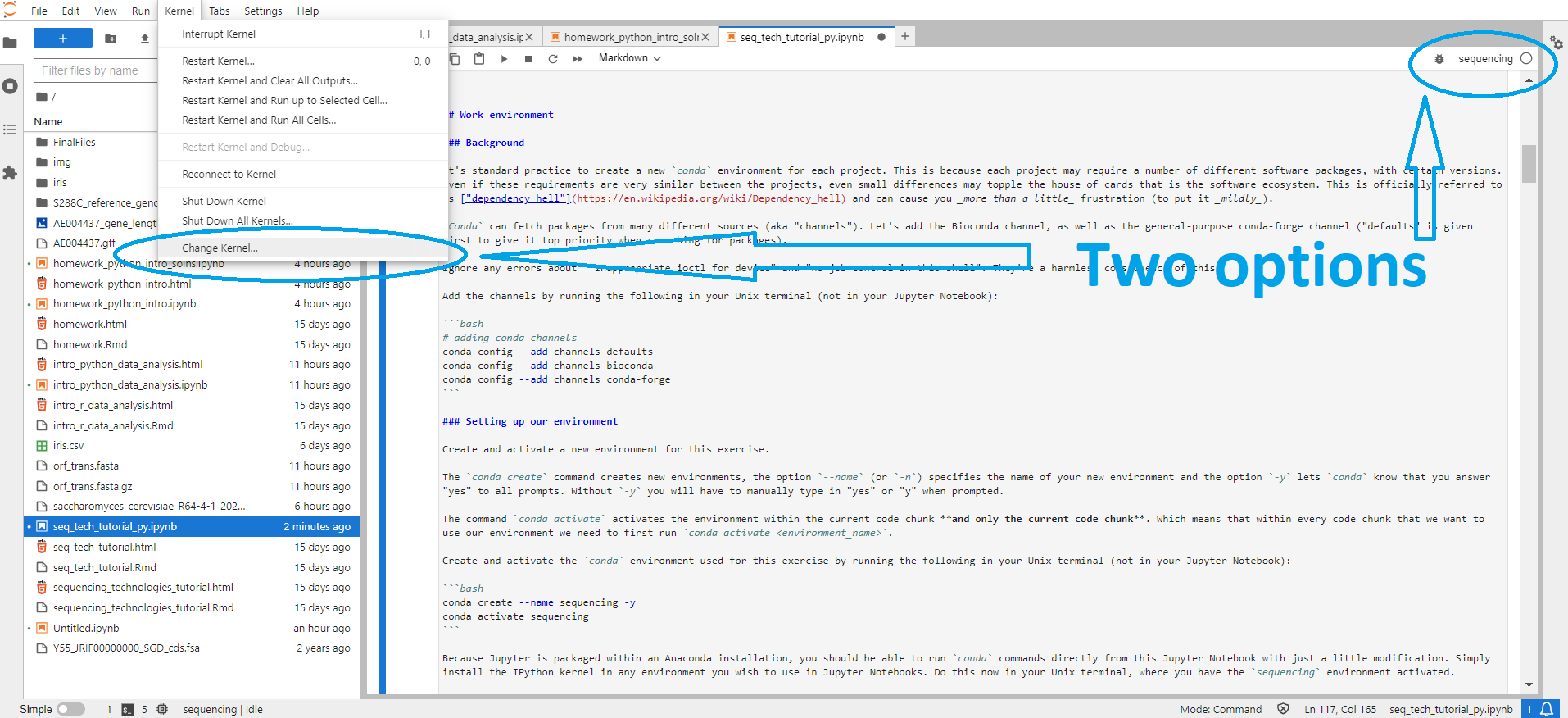 Two options for changing the kernel